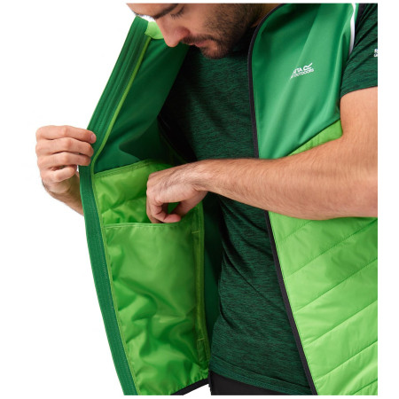 Pánska bunda Regatta Steren Hybrid