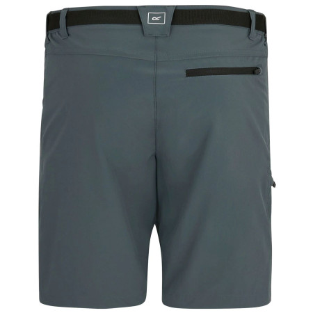 Pánske kraťasy Regatta Xert Stretch Shorts