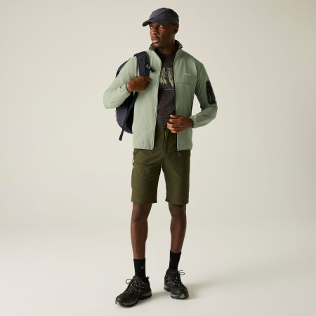 Pánska mikina Regatta Baslinn