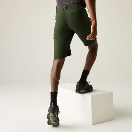 Pánske kraťasy Regatta Highton Shorts Long II