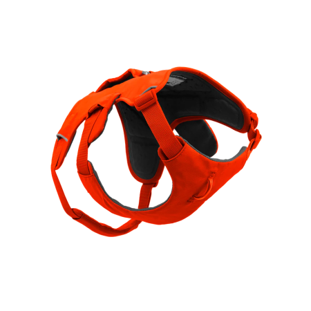 Postroj pre psa Ruffwear Web Master™ Harness