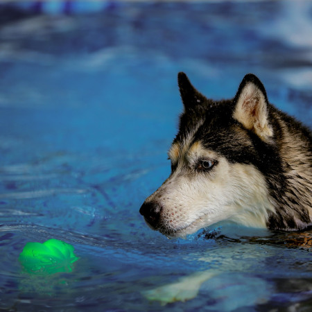 Hračka pre psa Nite Ize GlowStreak Wild LED Ball