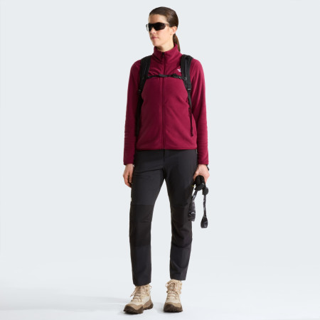 Dámska funkčná mikina The North Face W Glacier Fleece Jacket