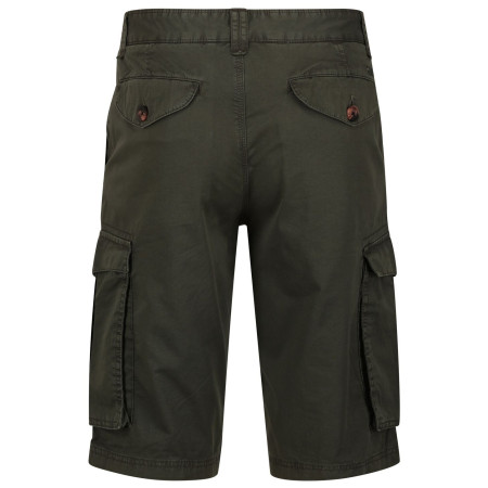 Pánske kraťasy Regatta Shorebay Short