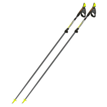 Nordic Walking palice Fizan Carbon Pro 2-pcs