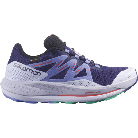 Dámske bežecké topánky Salomon Pulsar Trail Gtx W