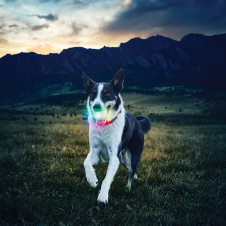 Hračka pre psa Nite Ize Glowstreak LED Ball