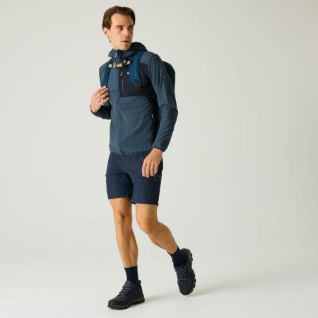 Pánska mikina Regatta Alven