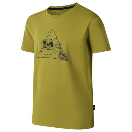 Detské tričko Dare 2b Amuse III Tee Goldn Cypress