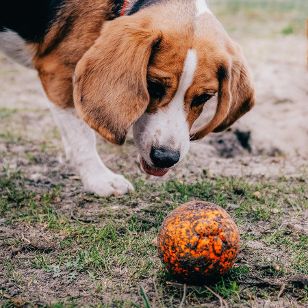 Hračka pre psa Explorer Dog AirBall Tips 8 cm