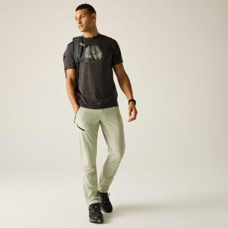 Pánske nohavice Regatta Xert Stretch Trousers