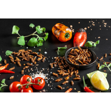 Jedlé cvrčky Sens Chrumkavé & praženie cvrčky BBQ Paprika