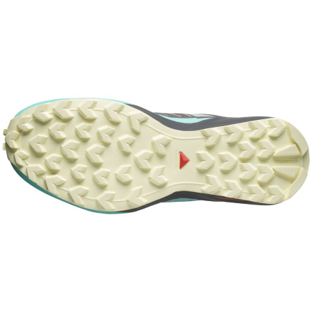 Dámske topánky Salomon Speedcross Peak