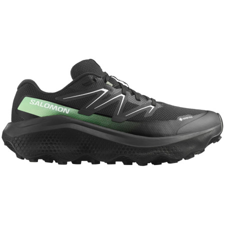 Pánske topánky Salomon Ultra Flow 2 Gore-Tex