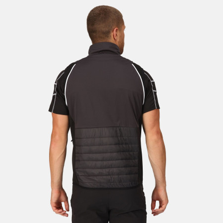 Pánska bunda Regatta Steren Hybrid