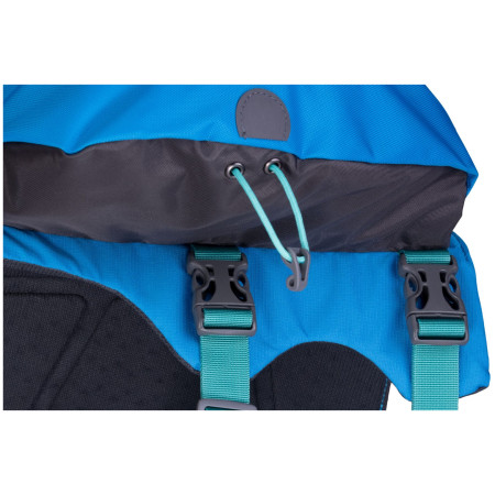 Batoh pre psa Ruffwear Approach™ Pack