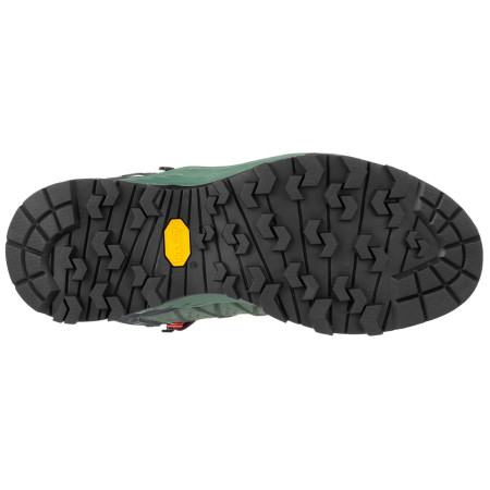 Dámske topánky Salewa Ws Alp Trainer 2 Mid Gtx