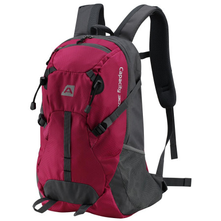 Batoh Alpine Pro Sandr 30l