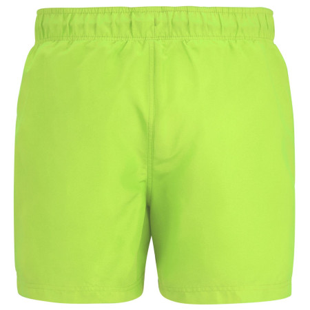Pánske plavky Regatta Mawson Swim Shorts III