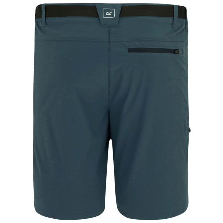 Pánske kraťasy Regatta Xert Stretch Shorts