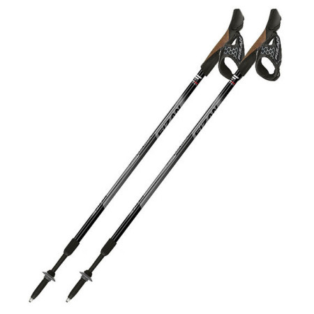 Palice Fizan NW Speed