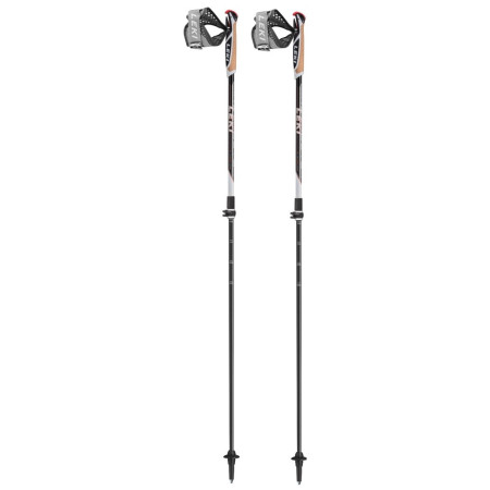 Nordic Walking palice Leki Poles Instructor Lite