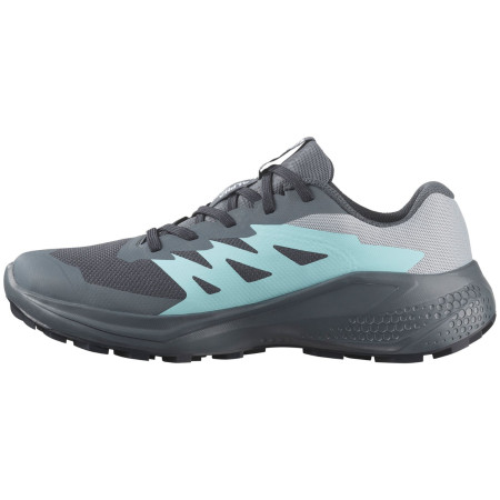 Dámske topánky Salomon Alphaglide Gore-Tex