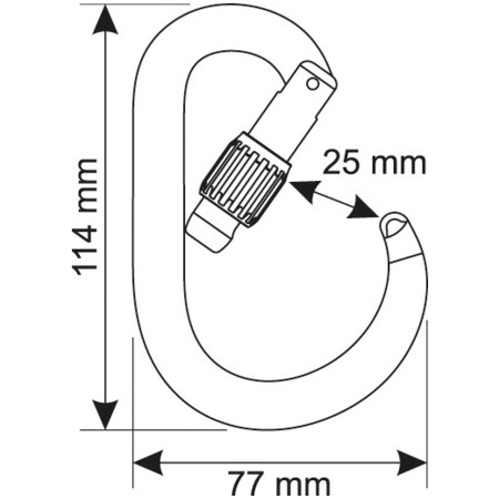 Karabína Camp Core Lock