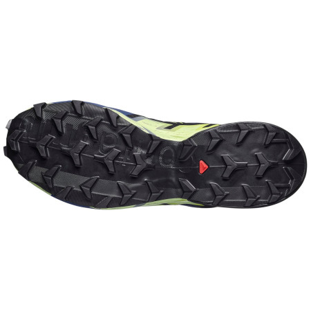 Pánske bežecké topánky Salomon Speedcross 6