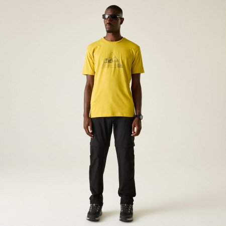 Pánske tričko Dare 2b Movement III Tee