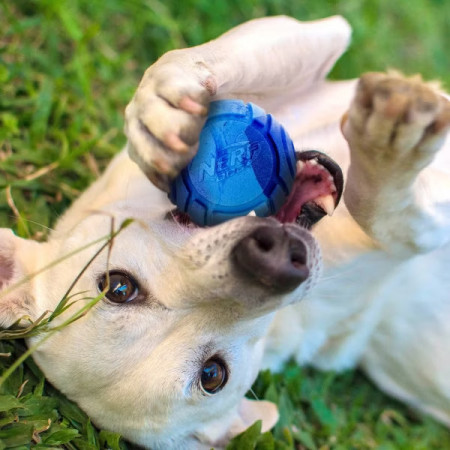 Hračka pre psa Nerf Dog Set Lightning & Sonic