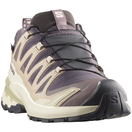 Dámske turistické topánky Salomon Xa Pro 3D V9 Gore-Tex