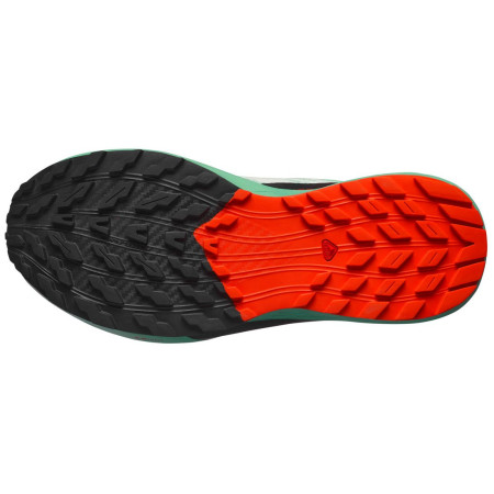 Dámske bežecké topánky Salomon Sense Ride 5