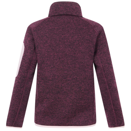 Detská mikina Regatta Junior Newhill Fig Powder Lilac