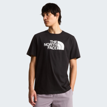 Pánske tričko The North Face Evolution Half Dome Regular Short Slee