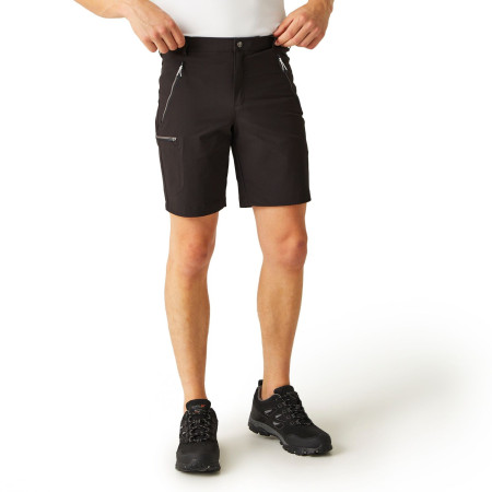 Pánske kraťasy Regatta Xert Stretch Shorts III