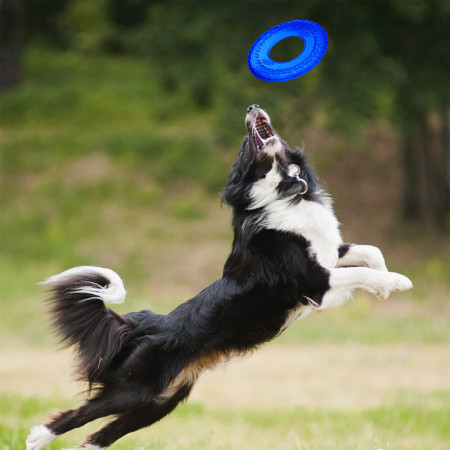 Hračka pre psa Nerf Dog Translucent TPR Tire Flyer 25 cm