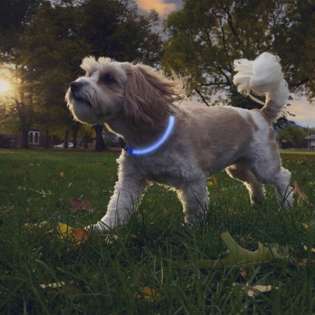 Svietiaci obojok pre psa Nite Ize NiteHowl® Rechargeable LED Safety Necklace
