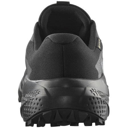 Pánske topánky Salomon Alphaglide Gore-Tex