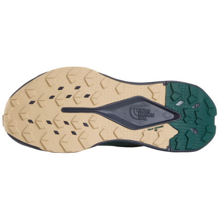 Pánske bežecké topánky The North Face M Altamesa 300 V2