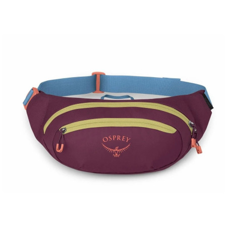 Ľadvinka Osprey Daylite Waist Pack