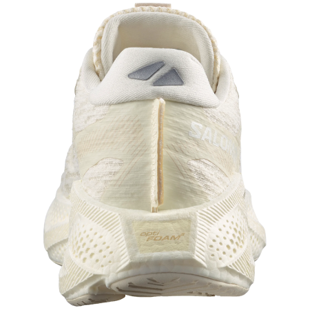 Dámske bežecké topánky Salomon Aero Glide 4