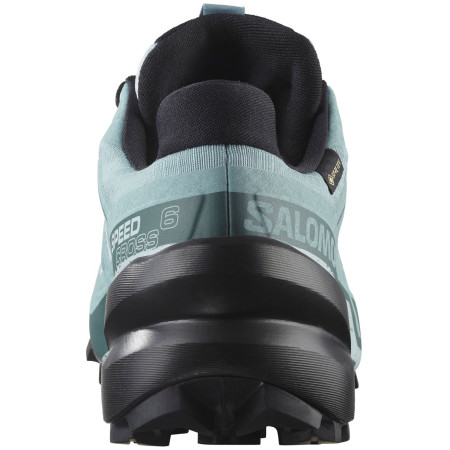 Dámske topánky Salomon Speedcross 6 Gore-Tex