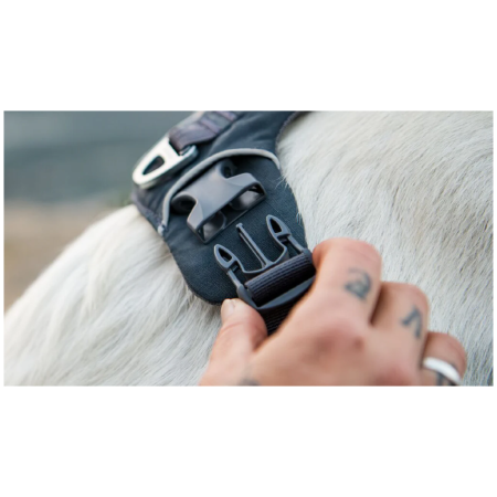 Postroj pre psa Ruffwear Front Range® Harness