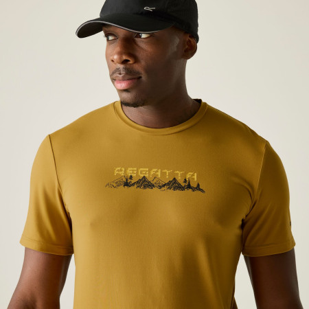 Pánske tričko Regatta Fingal Stretch