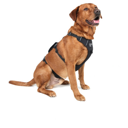 Postroj pre psa Mountain Paws 3-Strap Dog Harness
