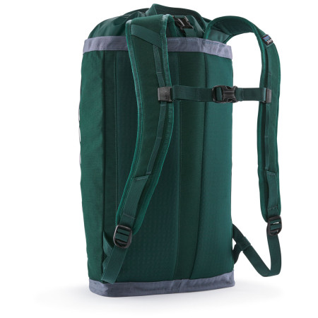 Batoh Patagonia Fieldsmith Linked Pack 24L