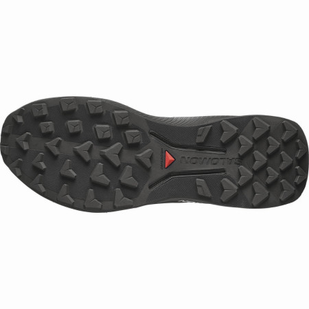 Pánske bežecké topánky Salomon Genesis 2