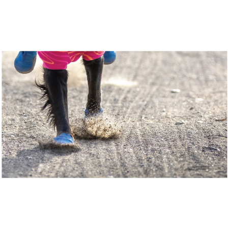 Topánky pre psa Ruffwear Hi & Light™ Trail Shoes