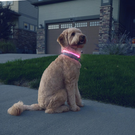 Svietiaci obojok pre psa Nite Ize NiteHowl® Rechargeable LED Safety Necklace
